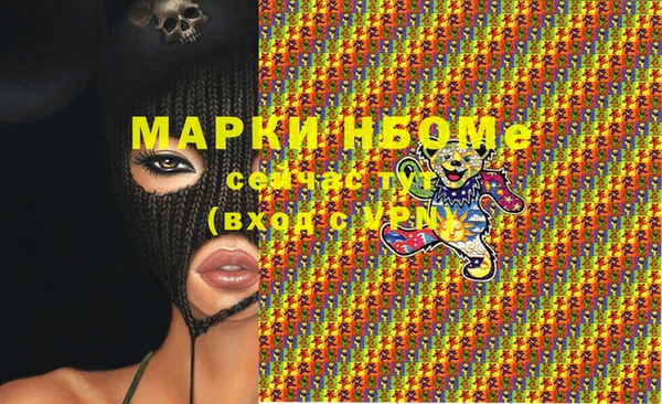 стафф Арсеньев