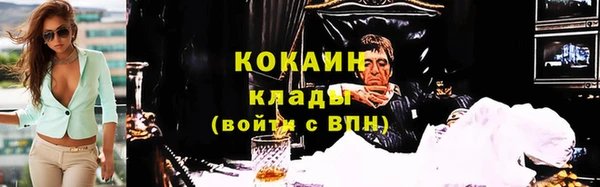 стафф Арсеньев