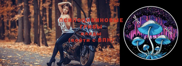 стафф Арсеньев