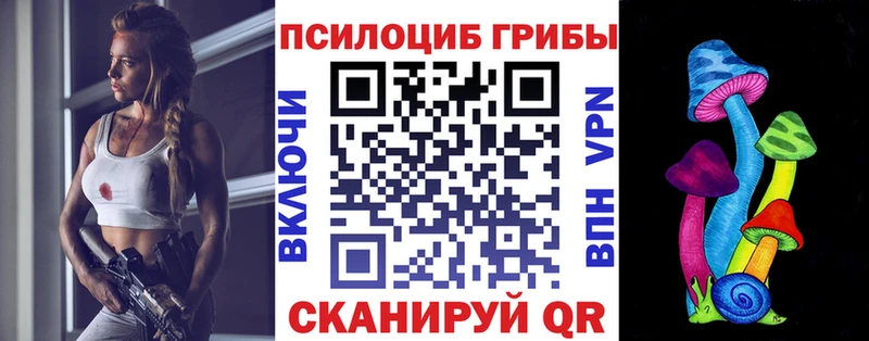 Галлюциногенные грибы Psilocybe Нытва